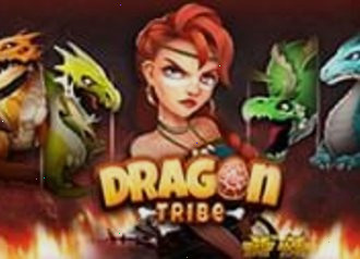 Автомат Dragon Tribe Nolimit
